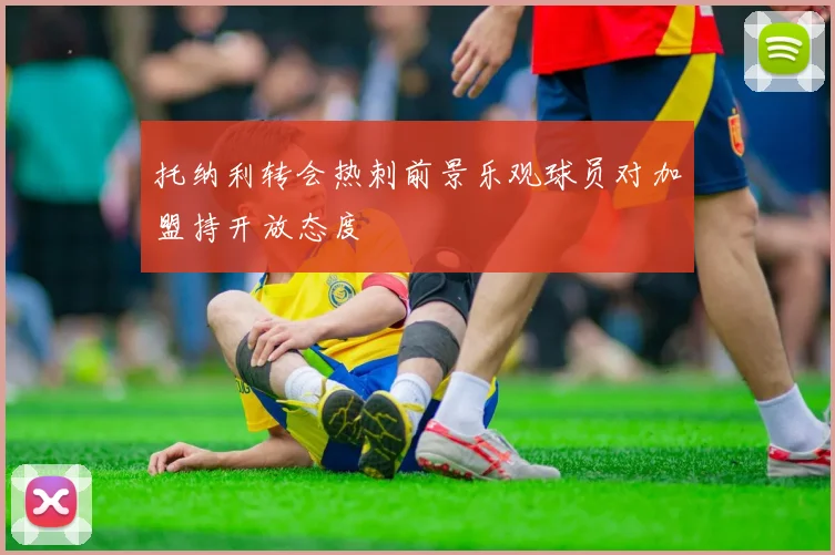 托纳利转会热刺前景乐观球员对加盟持开放态度